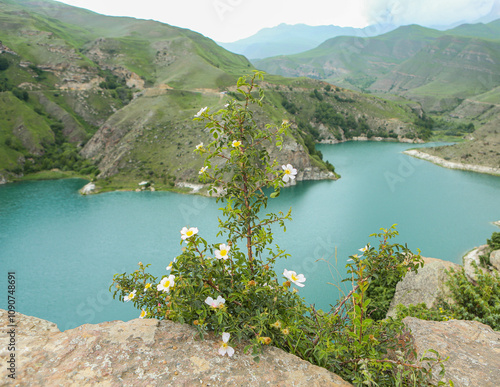 Majestic Elbrus with Turquoise Lake Syltrankel in the Foreground