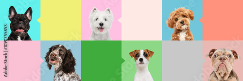 Sticker Banner