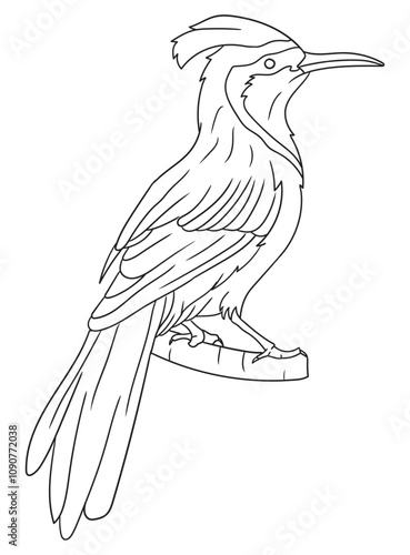 Black and white bird illustration perfect for coloring books, adult coloring pages, or creative art projects. Features intricate details and nature-inspired design