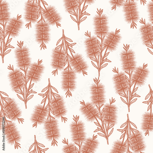 Hand drawn bottlebrush flower background. Australian native plant