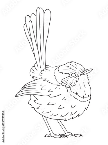 Black and white bird illustration perfect for coloring books, adult coloring pages, or creative art projects. Features intricate details and nature-inspired design