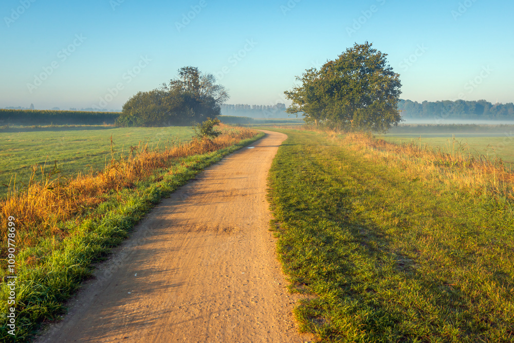 Winding unpaved country road in a Dutch polder landscape. It is an early autumn morning. The sun is still low in the sky and there is still mist hanging over the fields.