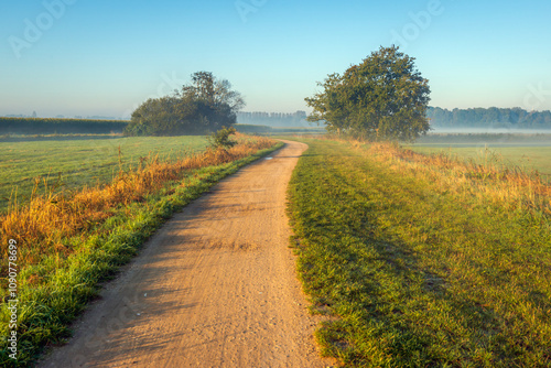 Obraz na płótnie Winding unpaved country road in a Dutch polder landscape. It is an early autumn morning. The sun is still low in the sky and there is still mist hanging over the fields. w salonie