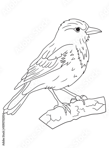 Black and white bird illustration perfect for coloring books, adult coloring pages, or creative art projects. Features intricate details and nature-inspired design