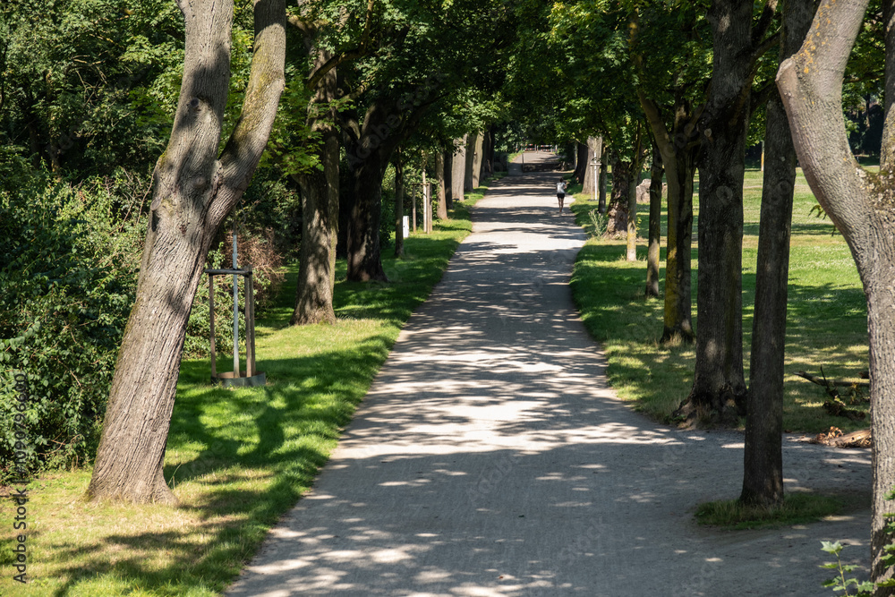 Fototapeta premium Allee im Blücherpark in Köln
