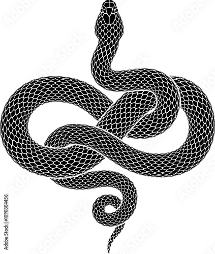 Vector illustration of snake curled up in shape of infinity sign. Isolated tattoo design of black serpent silhouette of figure eight knot symbol.