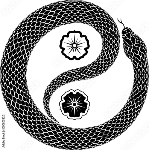 Vector tattoo design of snake curled up in shape of Yin Yang symbol. Isolated black serpent silhouette showing taijitu sign of balance and harmony.