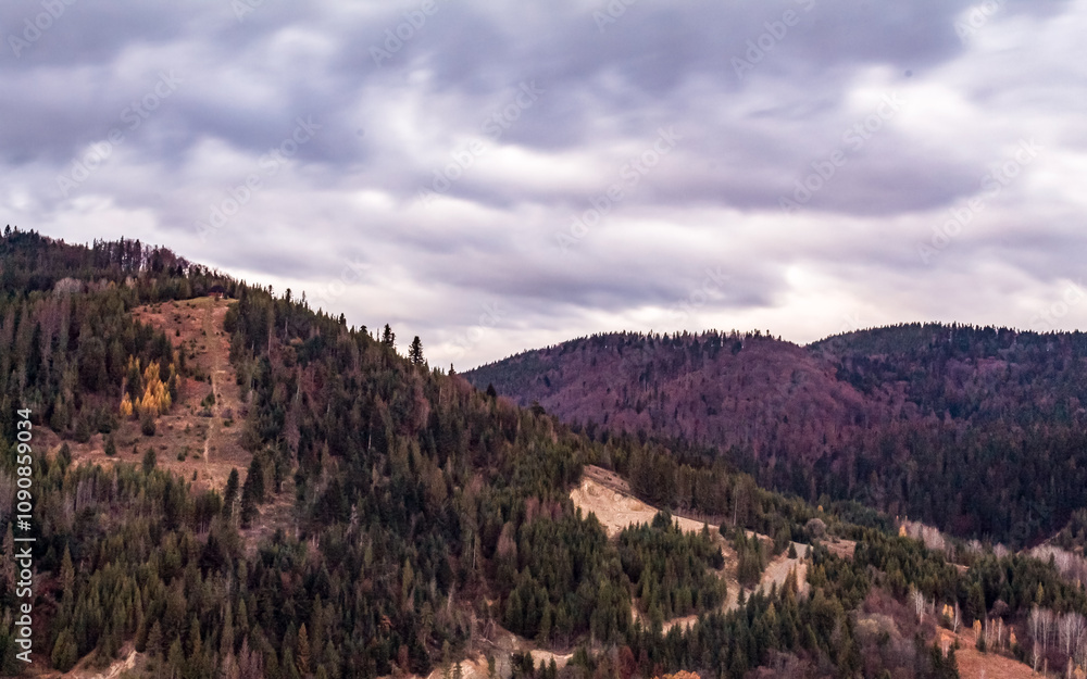 Naklejka premium Landscapes - Forest - Europe, Romania, Suceava region