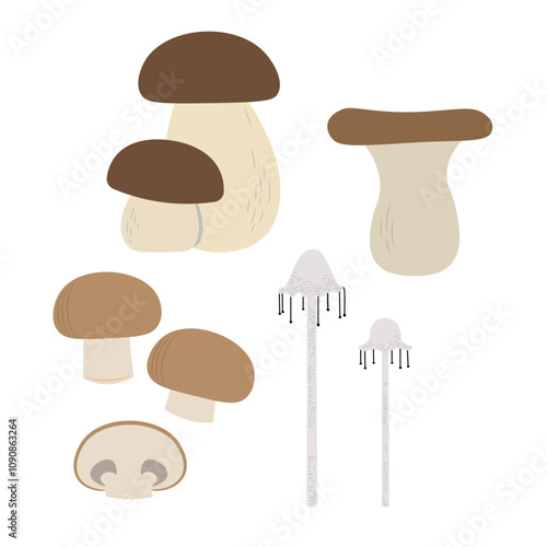 A set of edible mushroom