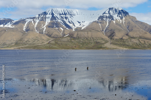 Isfjorden and snow-capped mountains, Longyearbyen, Spitsbergen Island, Svalbard Archipelago, Norway