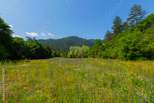 Horma Canyon located in Pınarbasi district photo