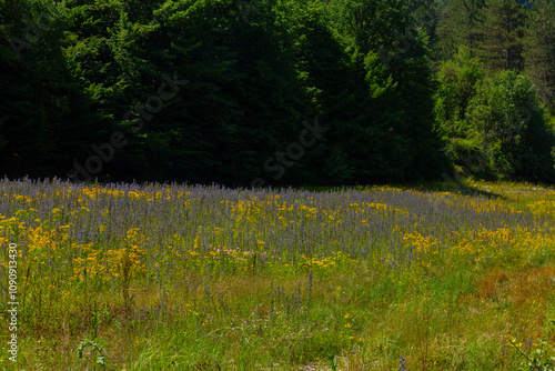 Horma Canyon located in Pınarbasi district photo