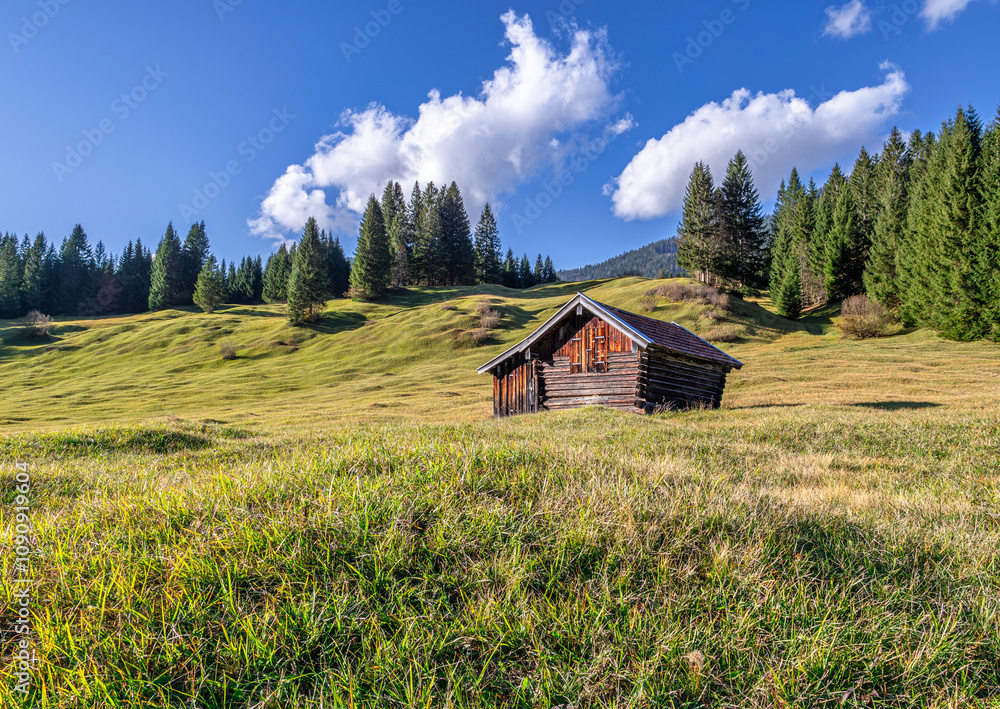 Buckelwiesen mit Heustadel bei Krün, Mittenwald, Bayern, Deutschland, Europa