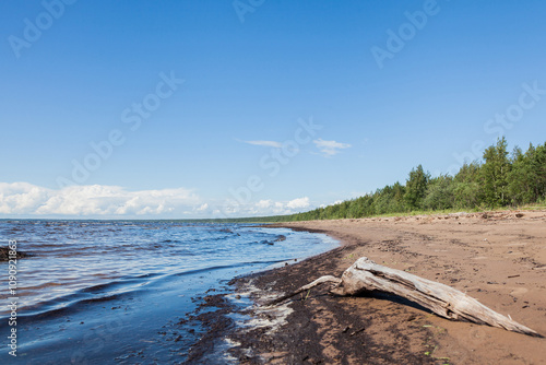 a piece of old wood on a deserted beach