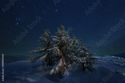 Amazing winter mountain landscape at night, fantastic view of the snowy Carpa...