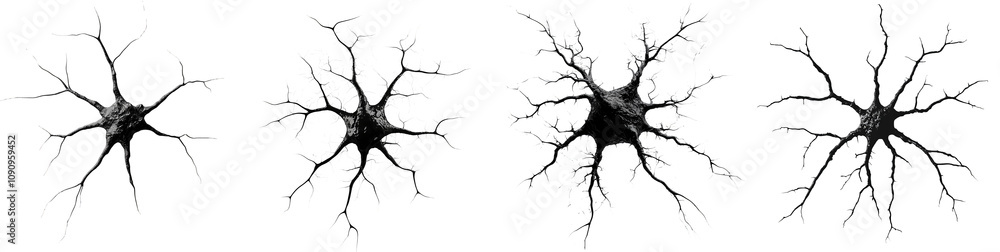 intricate neural networks showing complex neuron structures transparent background intricate neural networks showing complex neuron structures transparent background