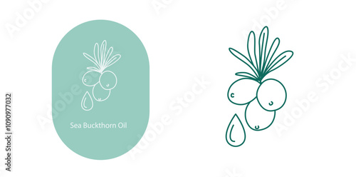 Premium Vector Icon for Sea Buckthorn Oil