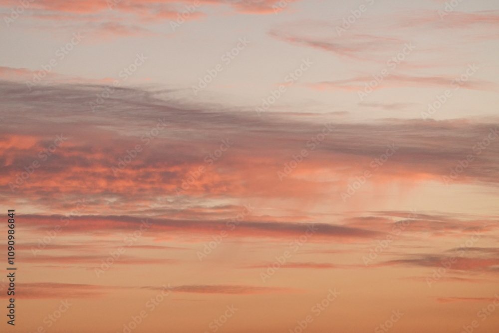 Fototapeta premium orange sunset