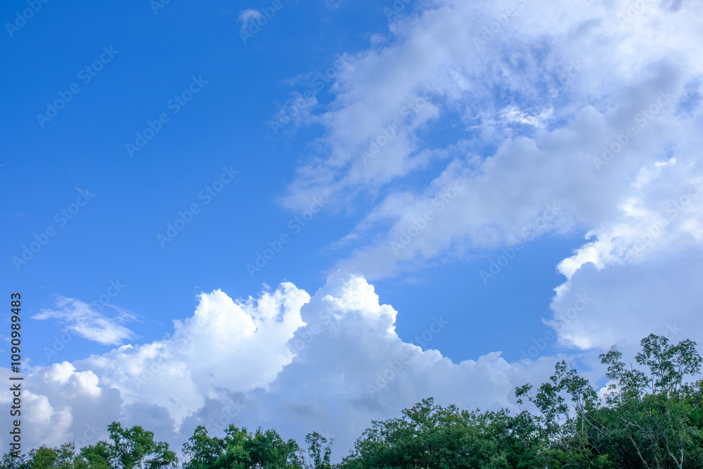Obraz premium 夏空と積雲