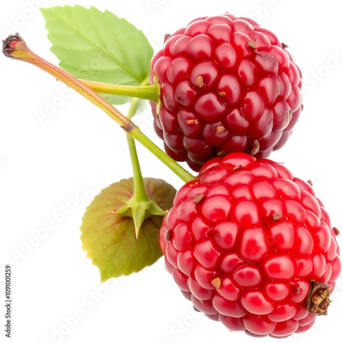 Two berry - Generative A.I