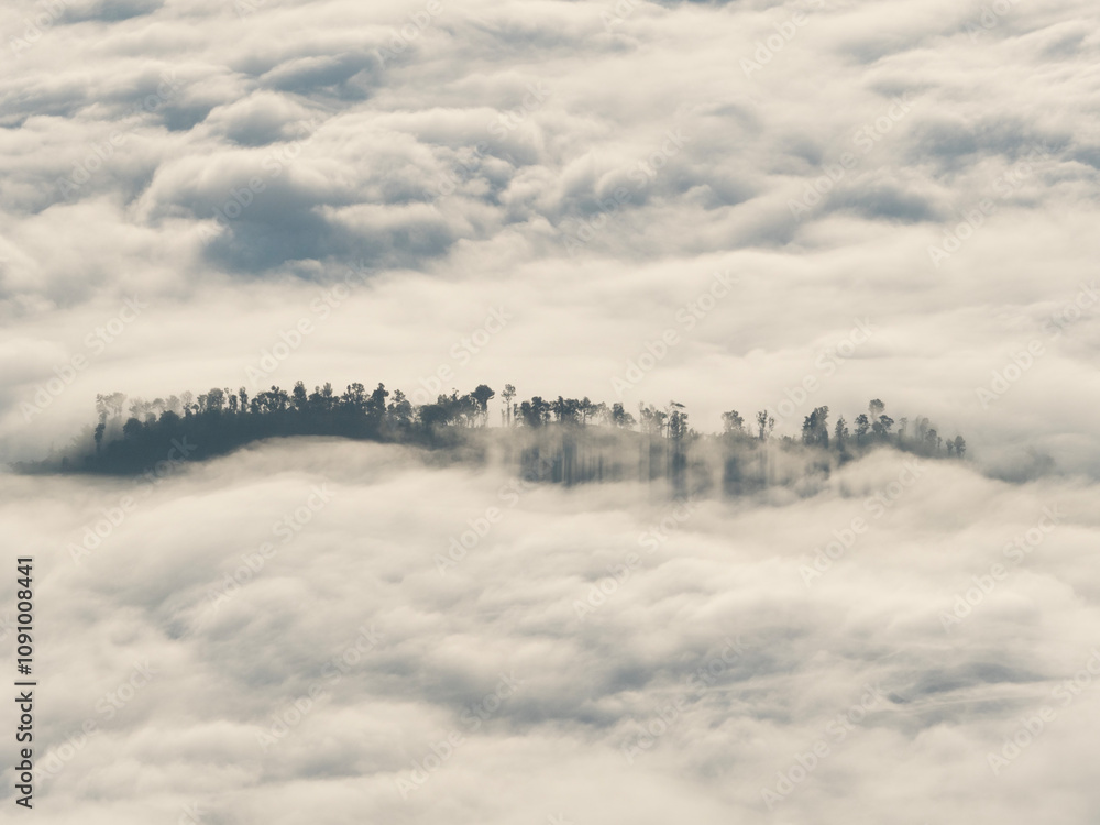 PHU CHI DAO DUEN with sea of clouds famous place in Chiang-Rai, Thailand.