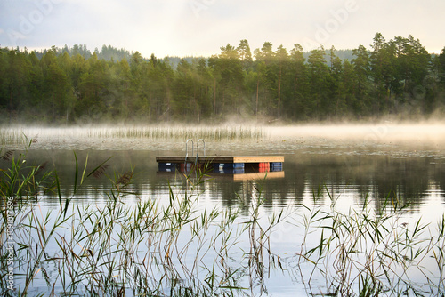 Floating island in the morning in the fog on a Swedish lake. Forest in the background photo