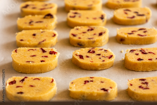 unbaked Christmas cookies with dried cranberries and orange zest arranged on a baking tray, ready to bake