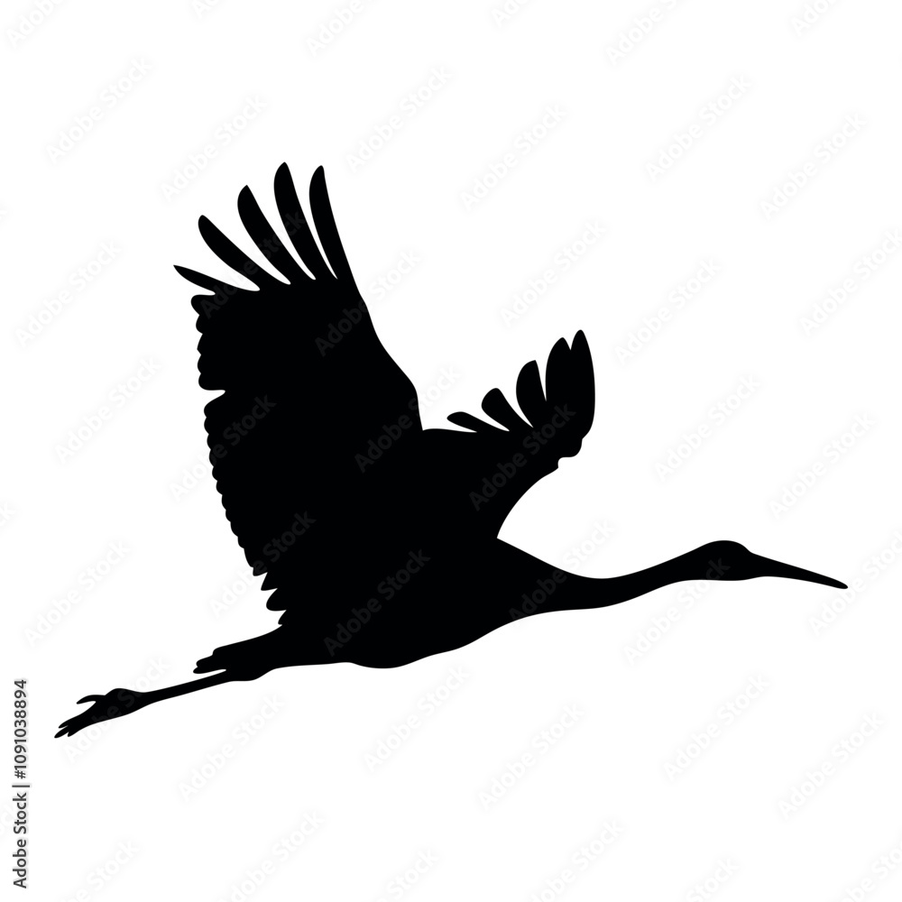 Fototapeta premium A black and white bird flying in the air. The bird is a crane