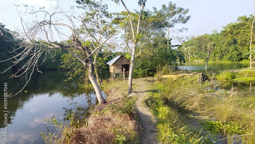 Fototapeta premium Cottage near the lake 