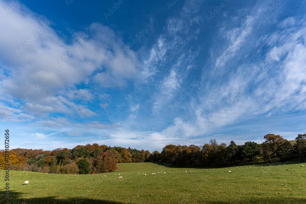 Fototapeta premium Scotland: the countryside and pastures around New Lanark