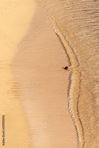 A Coconut Rolling In The Surf