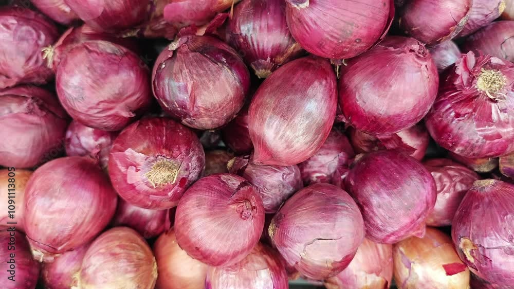 Fresh onion Fresh onion