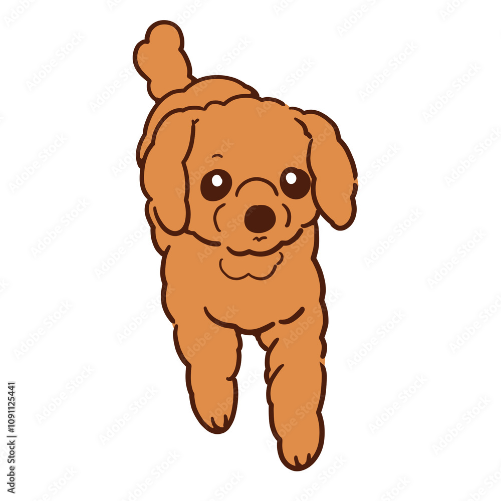 Obraz premium 遊んで欲しそうな我が家の愛犬ショコラ