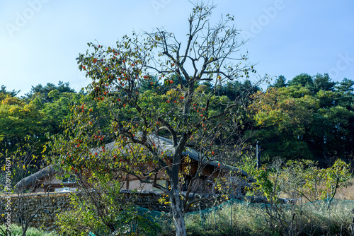 Wallpaper Mural Beautiful Korea traditional garden and roofed house. Torontodigital.ca