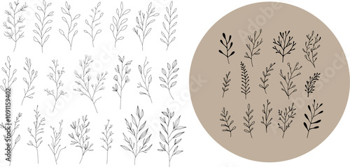 Set of minimalistic botanical sketches with leaves and branches in black and white.  Nature silhouettes and elegant line art for modern design projects. Botanical plant collection line art. 
