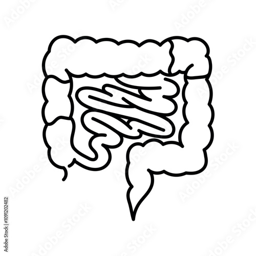 Inflammatory bowel disease color line icon. Autoimmune diseases.
