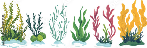 Cartoon sea underwater algae seaweed plants. Isolated vector set of aquarium, coral reef wildlife nature biodiversity. Ocean and undersea water life, weeds and wracks, laminaria, kelp, marine flora