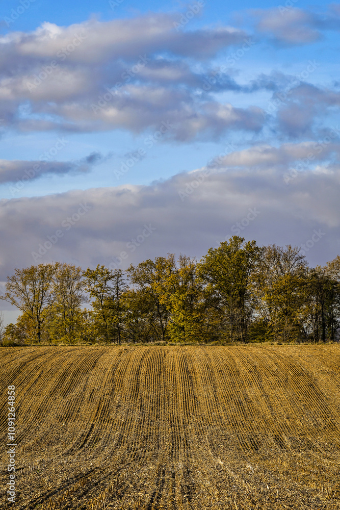 Obraz premium Champ labouré en automne