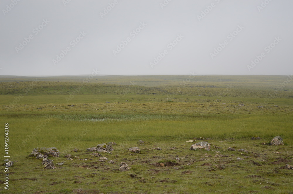 Obraz premium Cloudy day, green fields