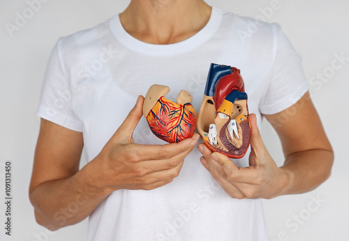 Fotografie Woman holding human heart model