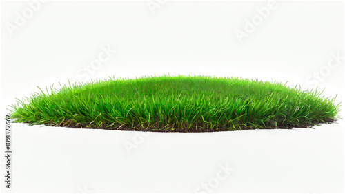 A lush, green patch of grass isolated on a transpend background. Perfect for landscaping, nature, and environmental themes