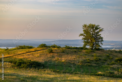 Palava landscape near Dolni Dunajovice, Southern Moravia, Czech Republic photo