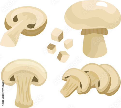 Mushroom Vector
