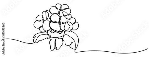 African violet in continuous line art drawing style. Saintpaulia flowering plant black linear sketch isolated on white background. Vector illustration, Purple Viola. New Brunswick, pro design.