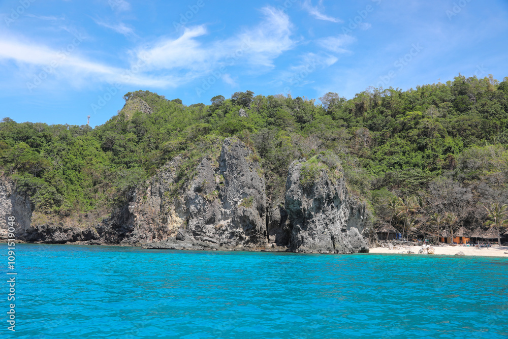 Obraz premium View of Apo Island located in Negros, Philippines