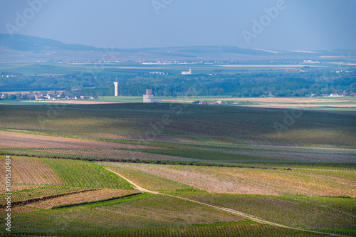 Landscape with green grand cru vineyards near Cramant, region Champagne, France. Cultivation of white chardonnay wine grape on chalky soils of Cote des Blancs. photo