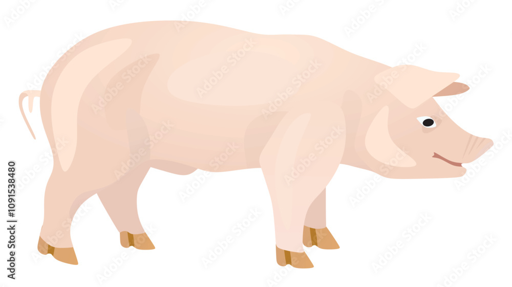 White pig isolated. vector illustration White pig isolated. vector illustration