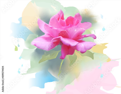 Watercolor painting of flowers - Rose flower -