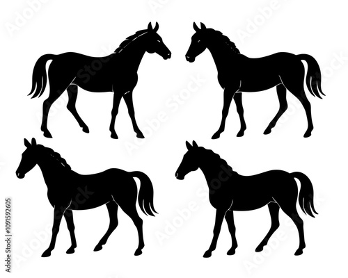 Set of horse vector illustration silhouette