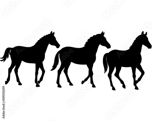 Set of horse vector illustration silhouette